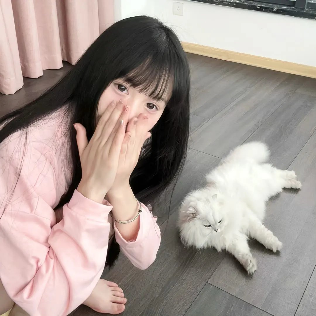 王朝消亡